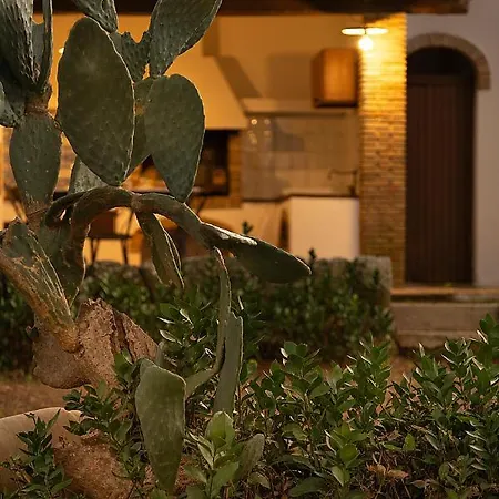 Maria Affittacamere Bed & Breakfast